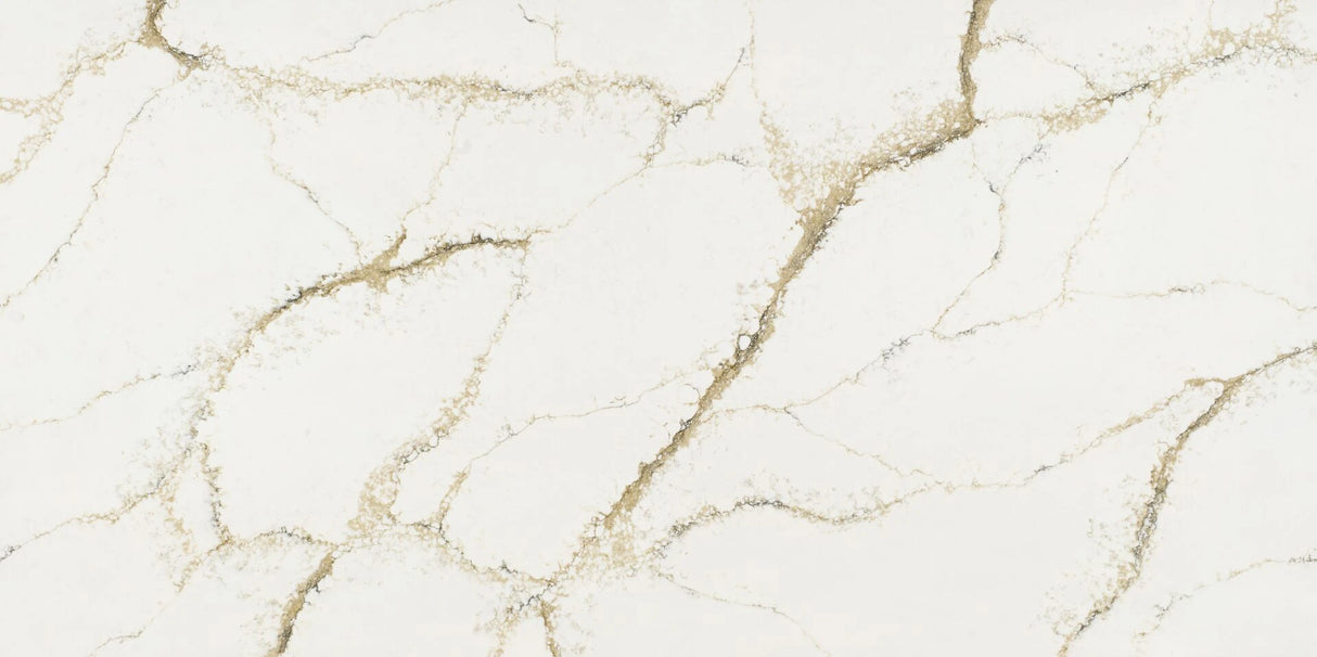 Roma Gold | AC5001