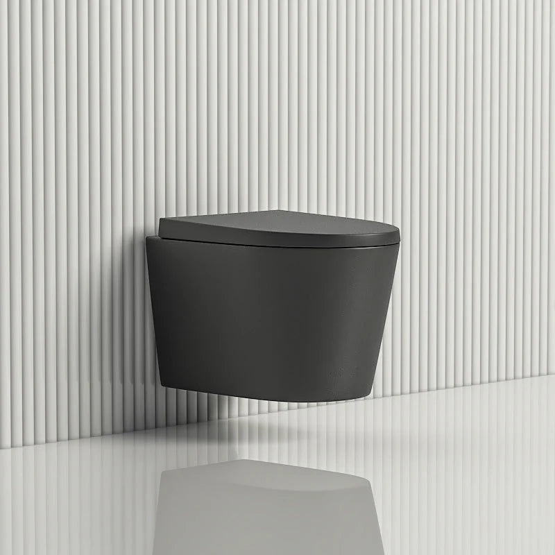 Avis Geberit In Wall Wall Hung Toilet Suite (Geberit Sigma 8- F+KDK302R-MB) — detail 2