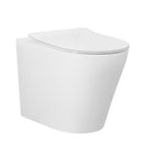 3380 Alzano Wall Faced RIMLESS Pan with SLIM Seat -ISC88 S-Trap