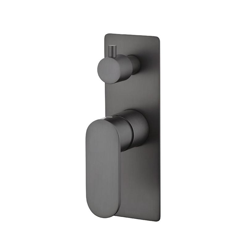 Shower Diverter
