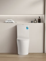 Livis KDK022 Rimless Toilet Suite — detail 2