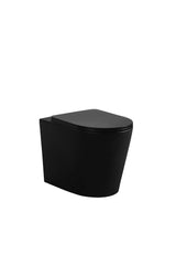 Avis R&amp;T inwall floor toilet suite G30032/G3005+KDK102R — detail 6