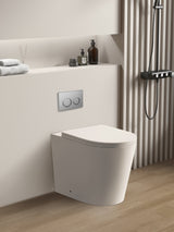 Avis Geberit Inwall Floor Toilet Suite (Sigma8/Kapp + KDK102R) — detail 4