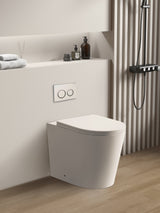 Avis Geberit Inwall Floor Toilet Suite (Sigma8/Kapp + KDK102R) — detail 5