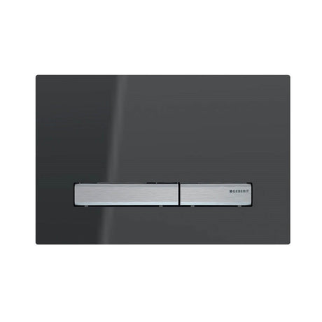 Geberit Toilet Button Flush Plate For Concealed Cistern Sigma50KJ/DW/SD — detail 2