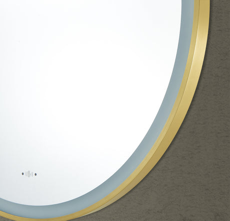 LFM800R-BG — detail 4