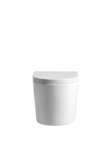 Rainia Rimless Wall Hung Pan Dual Flush 520*360*325mm V302R/V302R-MW/MB — detail 2