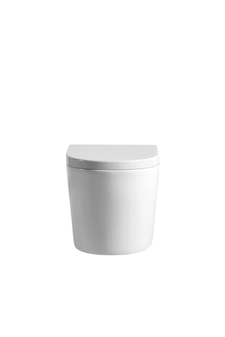 Rainia Rimless Wall Hung Pan Dual Flush 520*360*325mm V302R/V302R-MW/MB — detail 2