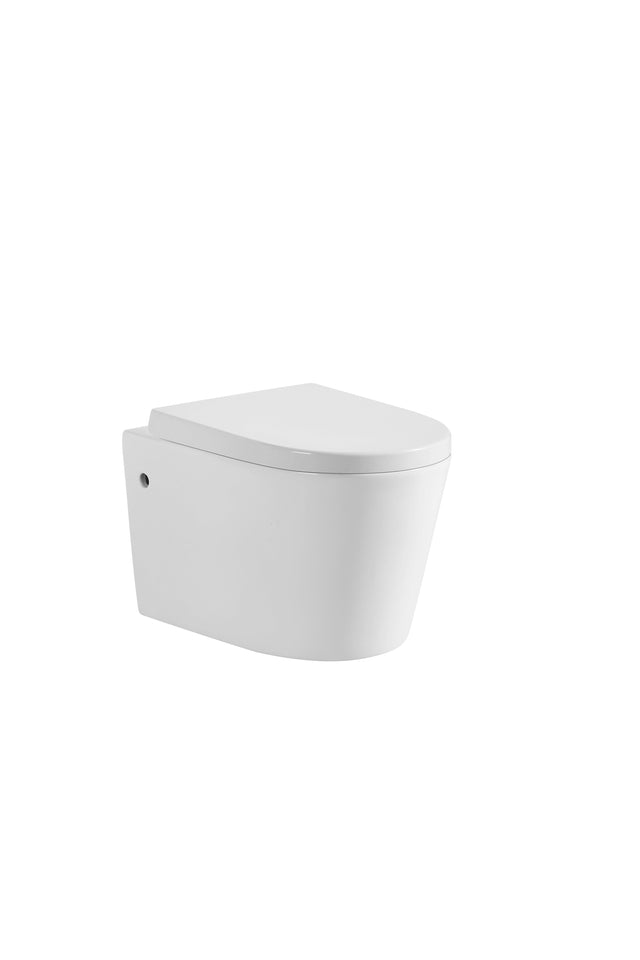 Rainia Rimless Wall Hung Pan Dual Flush 520*360*325mm V302R/V302R-MW/MB