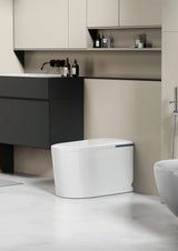 Vesso Smart Toilet One-Piece Ceramic Instant Heating Tornado Flush 690*395*500mm V02