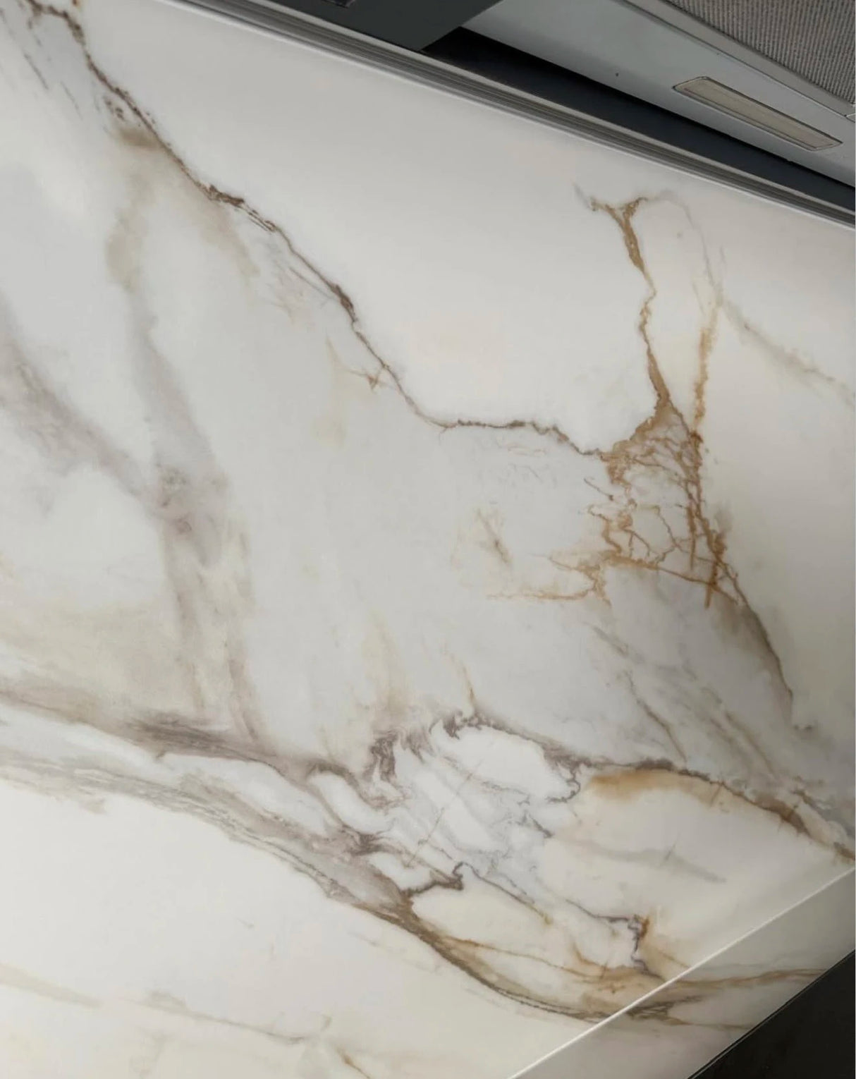 Borghini Gold | AC6009