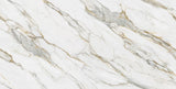 Borghini Gold | AC6009