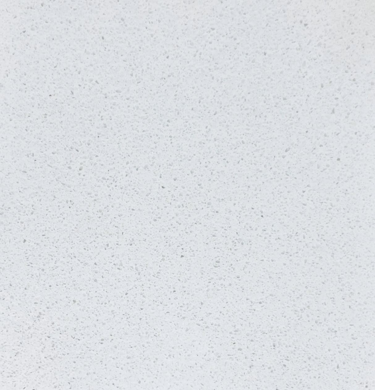 Daisy | AC8101