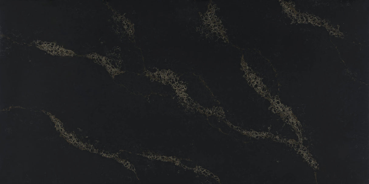Black Swan | AC915