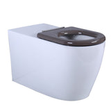 KDK106  Asta Care Wall Faced Floor Pan — detail 2