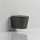 Avis Geberit In Wall Wall Hung Toilet Suite (Geberit Sigma 8- F+KDK302R-MB) — detail 2