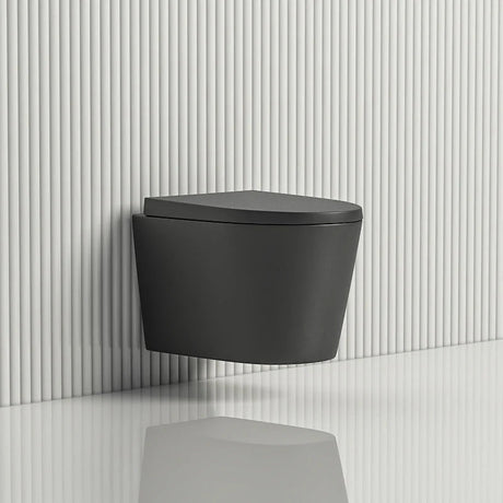 Avis Geberit In Wall Wall Hung Toilet Suite (Geberit Sigma 8- F+KDK302R-MB) — detail 2