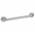 Care-GR Grab Rail
