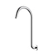Clasico Gooseneck  Shower Arm Chrome