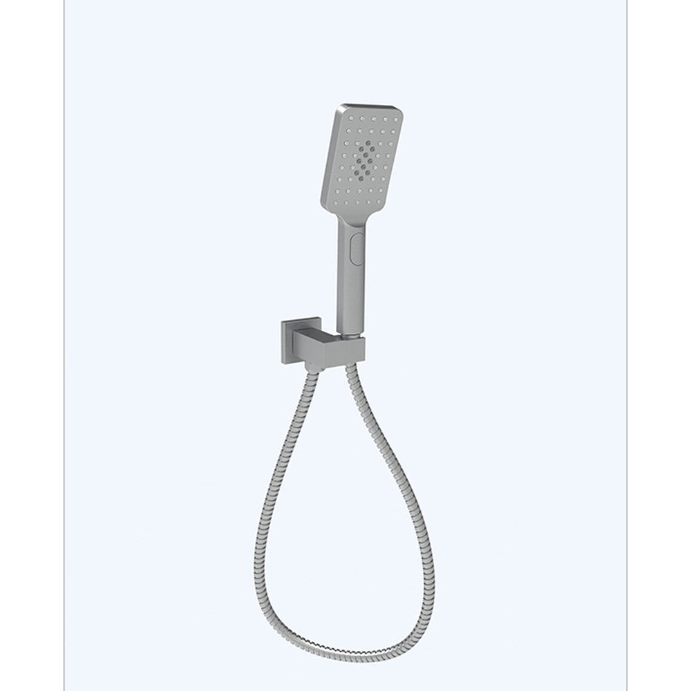 Eden Hand Shower  Gunmetal Gun Metal
