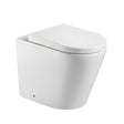 Hali Toilet In Wall Pan Chrome