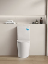 Roma Rimless Toilet Suite Dual Flush 655*385*870mm V022R/V022R-MB — detail 2