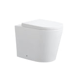 Jill Rimless Wall Faced Floor Pan Dual Flush 575*360*415mm V102R/V102R-MW/-MB — detail 4