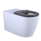 Evida Care Tornado Wall Faced Pan Dual Flush 800*360*430mm V106-BLUE V106-GREY — detail 2