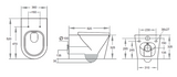 KDK302R-MB Avis Rimless Wall Hung Pan (Copy) — detail 4