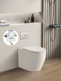 Elvera Geberit In Wall Floor Toilet Suite Sigma8/Alpha12+KDK107R