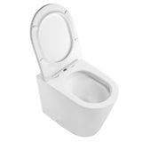Alzano WF Hurricane Pan Slim Seat / Geberit Inwall Cistern Set (Push Plate Sold Separately) — detail 3