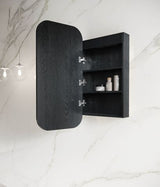 LED Newport 900(H)x450(W) Black Oak Shaving Cabinet - Premium Edition — detail 2