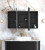 LED Newport 1200(W)x750(H) Black Oak Shaving Cabinet - Premium Edition — detail 2
