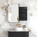 LED Newport 900(W)x750(H) Black Oak Shaving Cabinet - Premium Edition — detail 2