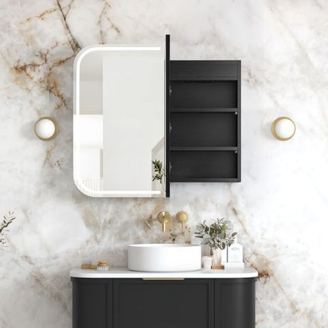 LED Newport 900(W)x750(H) Black Oak Shaving Cabinet - Premium Edition — detail 2