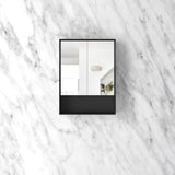 Byron 600x800 Black Oak Shaving Cabinet