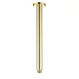 Pavia 300mm Brushed Gold Ceiling Shower Arm Round