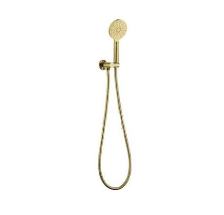 Pavia Brushed Gold Handheld Shower Set Round — detail 2