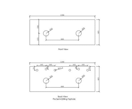Vanity Top 1200x465x20 Pure White Double Bowl — detail 4