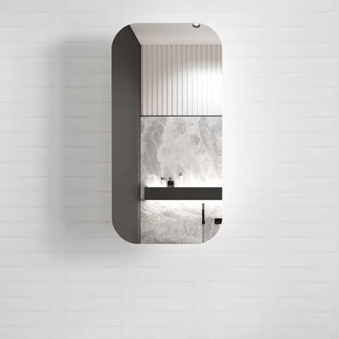 Newport 900x450 Black Oak Shaving Cabinet — detail 2