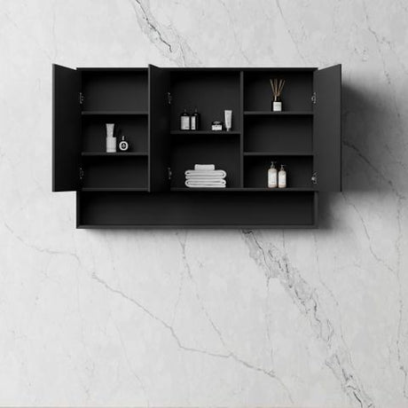 Marlo 1200x800 Matte Black Shaving Cabinet — detail 2