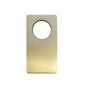 Shower Mixer Plate Brushed Gold