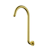 Clasico Gooseneck  Shower Arm Chrome